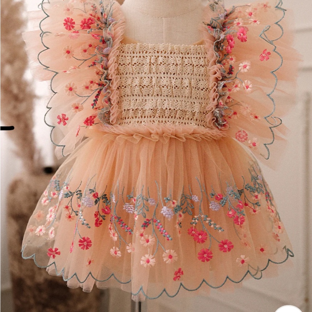 Floral Embroidered Peach Dress